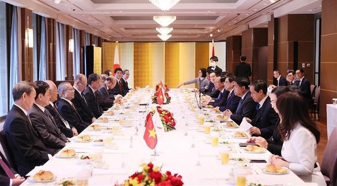 Premier vietnamita recibe a titulares de FEC y JICA ảnh 2