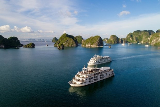 Aumentan esfuerzos de protección ambiental en Bahía de Ha Long ảnh 1 Aumentan esfuerzos de protección ambiental en Bahía de Ha Long ảnh 1