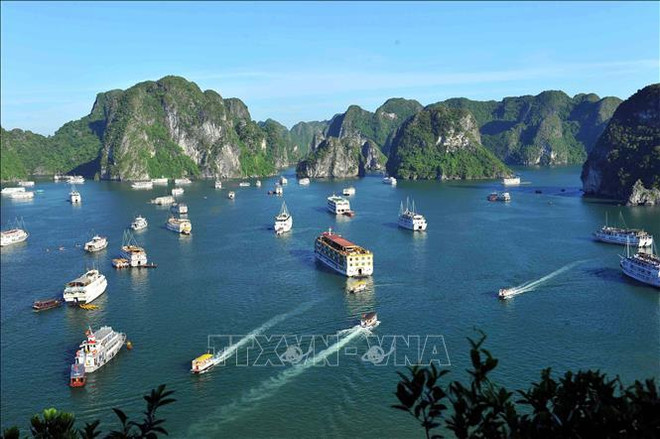 Google rinde homenaje a la Bahía de Ha Long de Vietnam ảnh 2 Google rinde homenaje a la Bahía de Ha Long de Vietnam ảnh 2