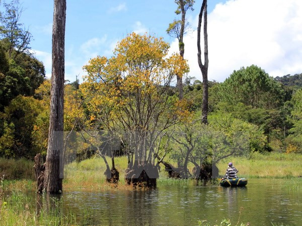 Reconocen a nivel nacional zona turística en Lam Dong ảnh 1