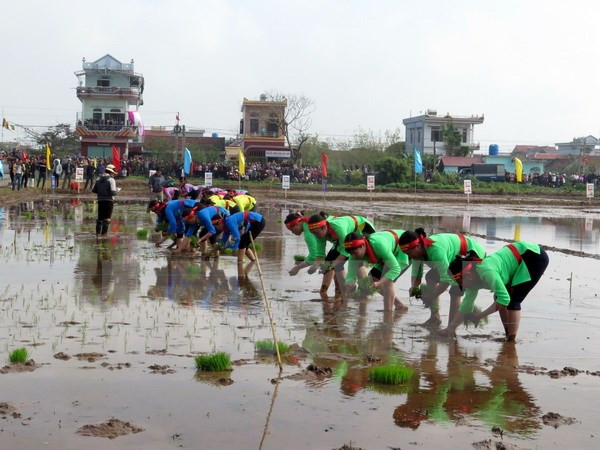 Vicepresidenta vietnamita asiste al festival “Tich Dien” en Nam Dinh ảnh 1