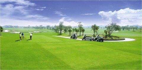Provincia vietnamita construirá campo de golf de 27 hoyos ảnh 1 Provincia vietnamita construirá campo de golf de 27 hoyos ảnh 1