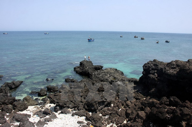 Forman zona de reserva marina en provincia central de Vietnam ảnh 1