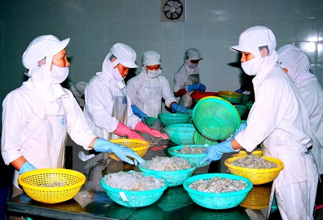 Vietnam pide a Australia eliminar pronto suspensión a importación de camarones ảnh 1 Vietnam pide a Australia eliminar pronto suspensión a importación de camarones ảnh 1