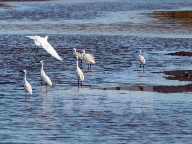 Arrancan proyecto de conservación de humedales y paisajes ảnh 1 Arrancan proyecto de conservación de humedales y paisajes ảnh 1