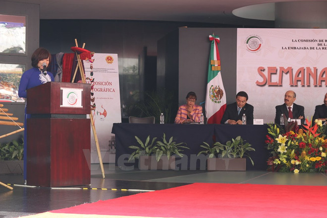 Refrendan Vietnam y México sus lazos de amistad y cooperación ảnh 3 Refrendan Vietnam y México sus lazos de amistad y cooperación ảnh 3
