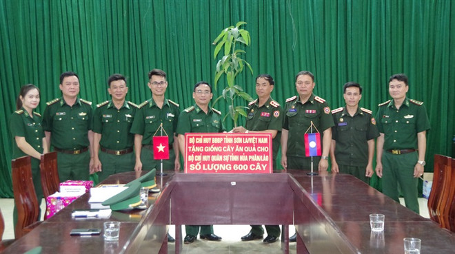 Provincia vietnamita entrega plántulas frutales a Laos ảnh 1 Provincia vietnamita entrega plántulas frutales a Laos ảnh 1