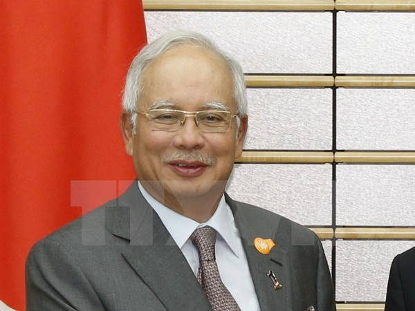 Líderes del Sudeste de Asia trasmiten mensajes por año nuevo ảnh 1