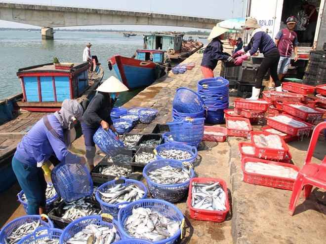 Exportaciones acuícolas de Vietnam suman tres mil 650 millones de dólares ảnh 1 Exportaciones acuícolas de Vietnam suman tres mil 650 millones de dólares ảnh 1