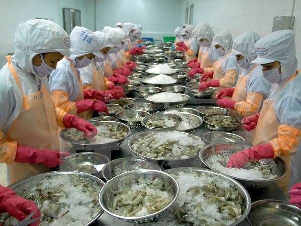 Prohíben a una empresa vietnamita exportar productos acuáticos a UE ảnh 1 Prohíben a una empresa vietnamita exportar productos acuáticos a UE ảnh 1