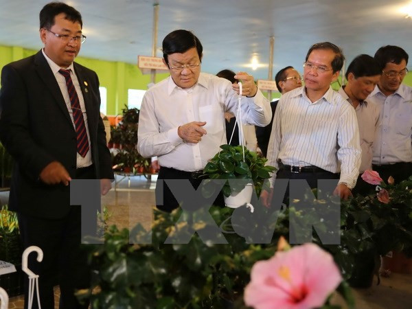 Presidente aplaude esfuerzos de provincia de Lam Dong en desarrollo agrícola ảnh 1