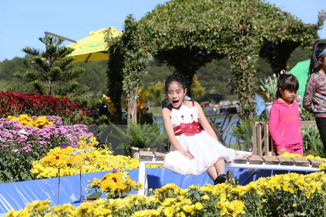 Da Lat atrae a 500 mil visitantes en Festival de Flores ảnh 1 Da Lat atrae a 500 mil visitantes en Festival de Flores ảnh 1