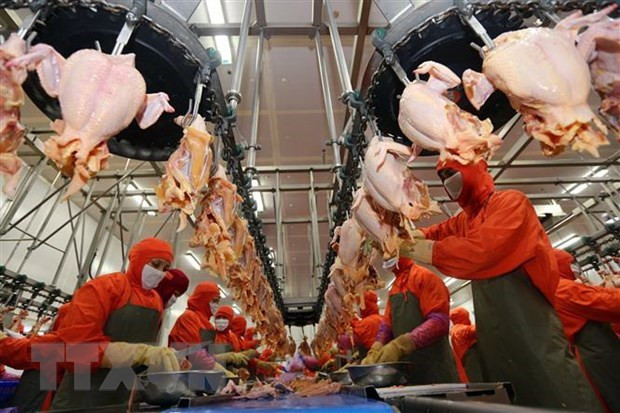 Mercado de alimentos y bebidas de Vietnam acapara gran interés de empresas extranjeras ảnh 2