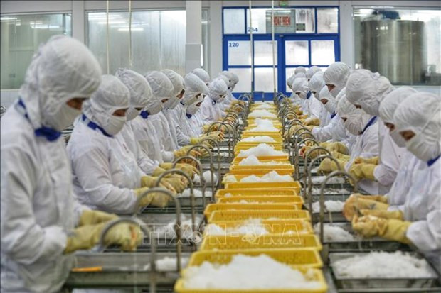 Elogia medio malasio esfuerzos de Vietnam en lucha contra el COVID-19 ảnh 1