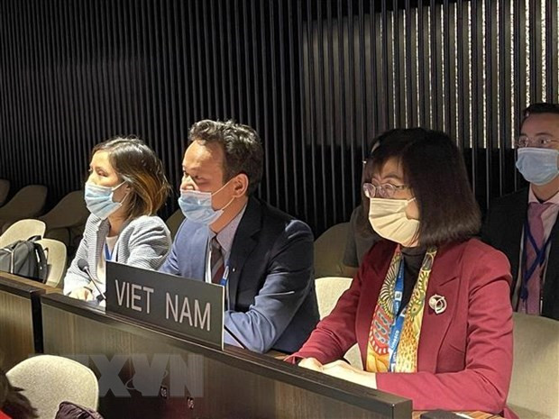 Repasan activa participación de Vietnam en mecanismos de cooperación multilateral ảnh 2 Repasan activa participación de Vietnam en mecanismos de cooperación multilateral ảnh 2