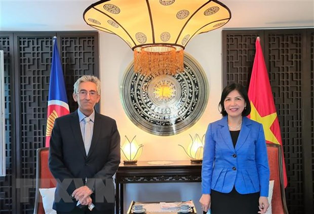 Vietnam fortalece cooperación con Organización Centro Sur ảnh 1 Vietnam fortalece cooperación con Organización Centro Sur ảnh 1