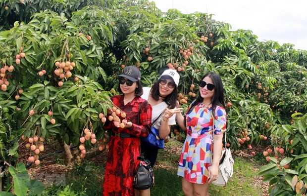 Provincia vietnamita se centrará en turismo sostenible ảnh 1 Provincia vietnamita se centrará en turismo sostenible ảnh 1