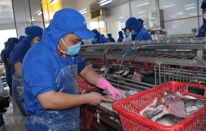 EVFTA ofrece oportunidades para productos acuáticos vietnamitas ảnh 1 EVFTA ofrece oportunidades para productos acuáticos vietnamitas ảnh 1