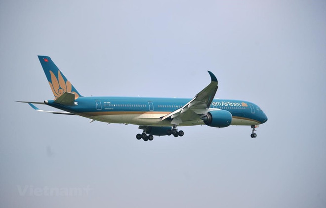 Vietnam Airlines abre la venta de boletos para el periodo del Año Nuevo Lunar 2021 ảnh 1 Vietnam Airlines abre la venta de boletos para el periodo del Año Nuevo Lunar 2021 ảnh 1