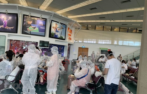 Repatrían a 240 vietnamitas varados en Singapur ảnh 1 Repatrían a 240 vietnamitas varados en Singapur ảnh 1