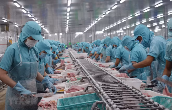 Aprueba Vietnam plan para implementación de EVFTA ảnh 1