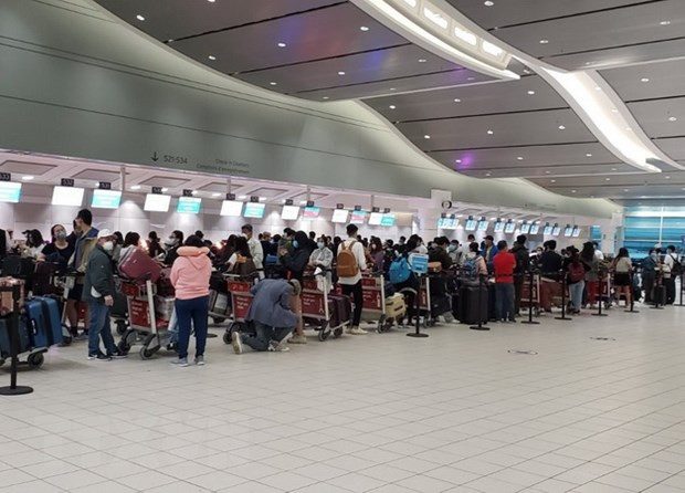 Repatrían a 340 ciudadanos vietnamitas varados en Canadá ảnh 1