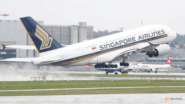 Grupo Singapore Airlines recorta miles de empleos por el COVID-19 ảnh 1