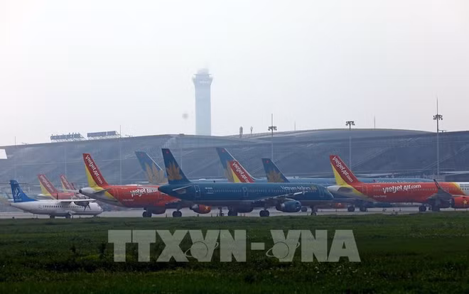 Aerolíneas vietnamitas anuncian ofertas de boletos ảnh 1
