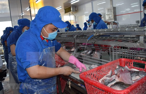 Aumentan exportaciones vietnamitas de mariscos a la UE ảnh 1 Aumentan exportaciones vietnamitas de mariscos a la UE ảnh 1