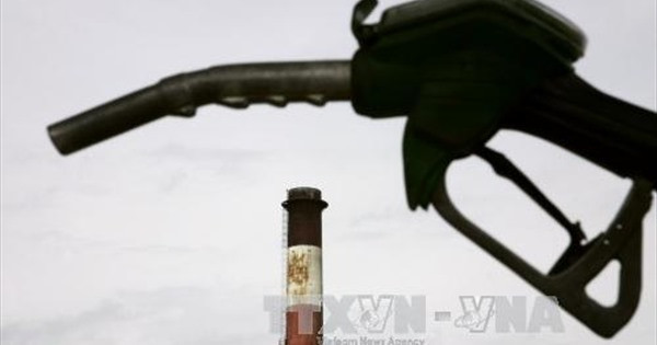 Indonesia pondrá en subasta 10 proyectos de explotación petrolera ảnh 1 Indonesia pondrá en subasta 10 proyectos de explotación petrolera ảnh 1