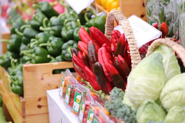 Índice de precios al consumidor de Ciudad Ho Chi Minh mantiene tendencia a la baja ảnh 1