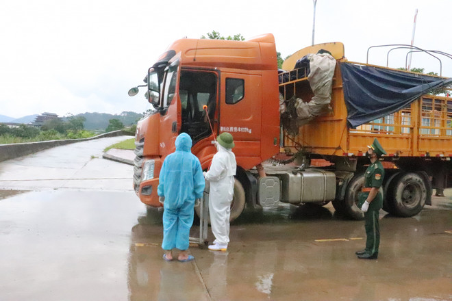 Provincia vietnamita garantiza control pandémico en actividades comerciales ảnh 2 Provincia vietnamita garantiza control pandémico en actividades comerciales ảnh 2