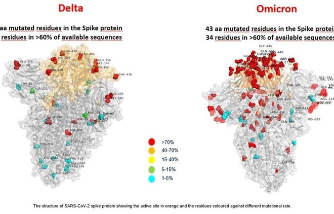 Vietnam por mejorar capacidad médica en respuesta a variante Ómicron del COVID-19 ảnh 1