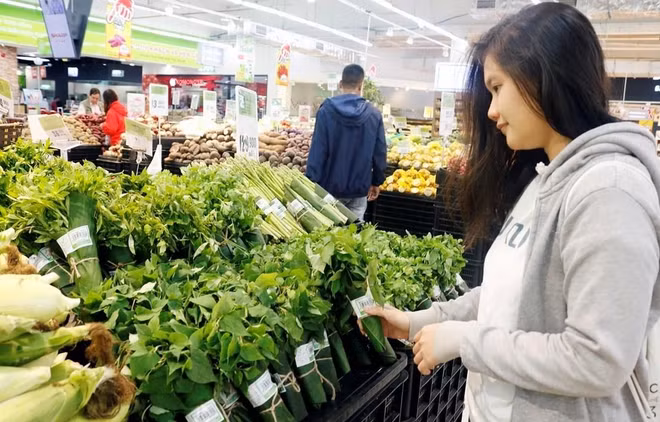 Vietnam intenta reducir consumo de bolsas plásticas en comercio minorista ảnh 1