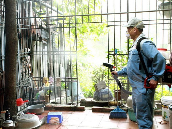 Vietnam registra más de 90 mil casos de dengue ảnh 1 Vietnam registra más de 90 mil casos de dengue ảnh 1