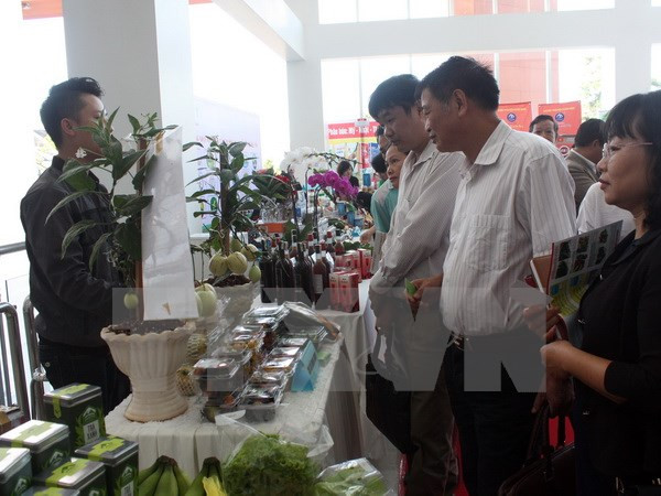 Vietnam impulsa desarrollo agrícola basado en los avances tecnológicos ảnh 1 Vietnam impulsa desarrollo agrícola basado en los avances tecnológicos ảnh 1