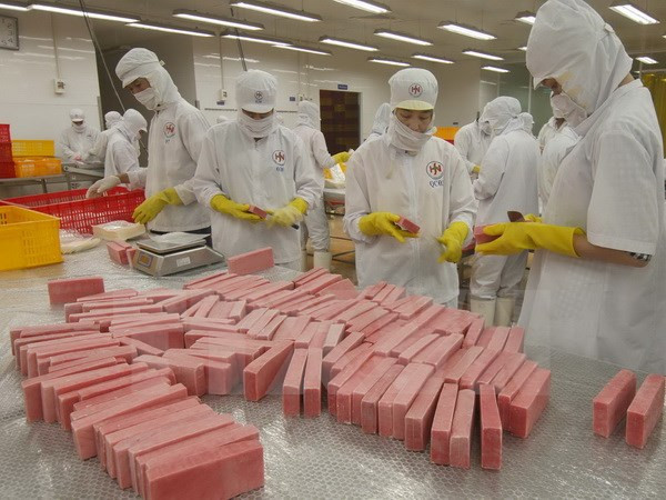 Feria internacional de acuicultura de Vietnam se efectuará en octubre ảnh 1 Feria internacional de acuicultura de Vietnam se efectuará en octubre ảnh 1