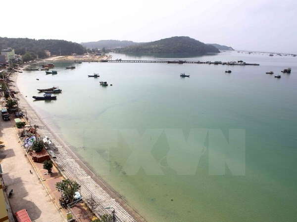 Ca Mau llama a inversiones para desarrollo de puerto marítimo ảnh 1