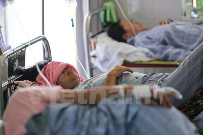 Fallecen seis personas por dengue en Hanoi en últimas dos semanas ảnh 1 Fallecen seis personas por dengue en Hanoi en últimas dos semanas ảnh 1
