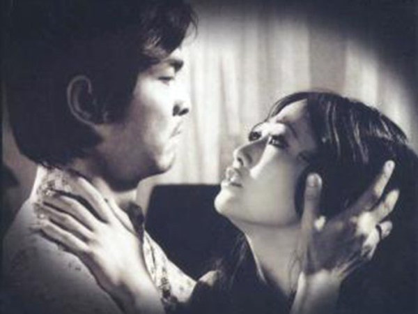 Da Nang acogerá el vigésimo Festival de Cine de Vietnam ảnh 1