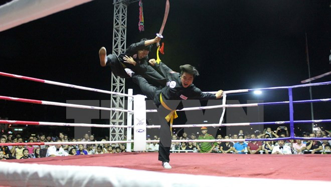 Nutrida participación en Campeonato Nacional de Artes Marciales ảnh 1