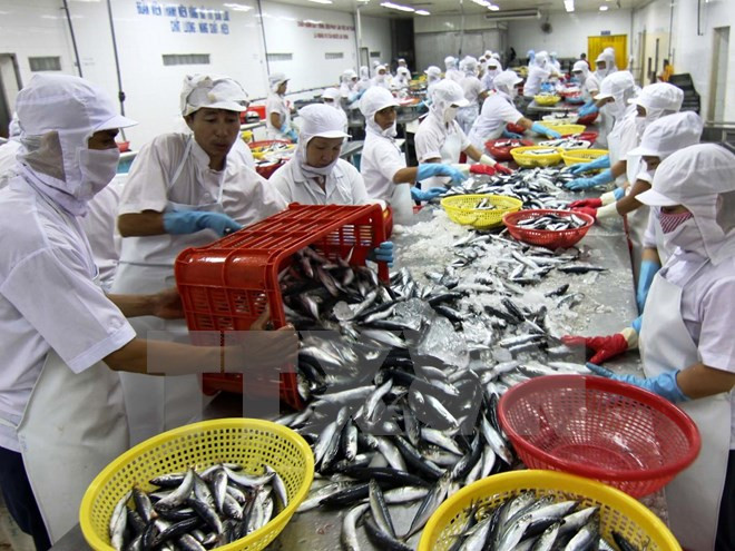 Crecen exportaciones de productos agrosilvícolas y acuáticos de Vietnam ảnh 1 Crecen exportaciones de productos agrosilvícolas y acuáticos de Vietnam ảnh 1