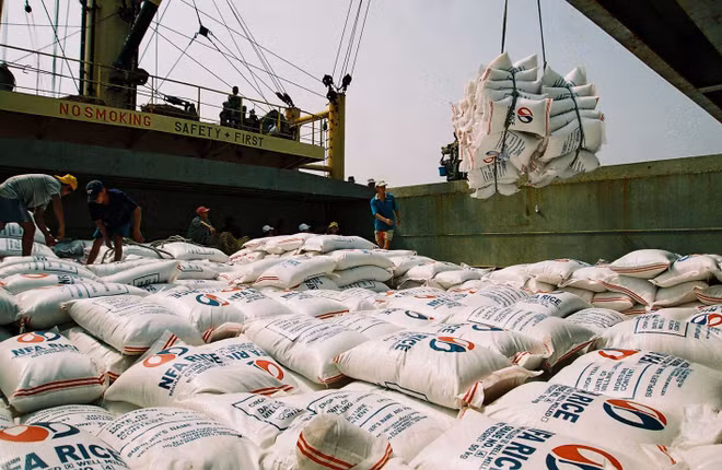 Exportadores de Vietnam actualizados con datos sobre mercado chino ảnh 1 Exportadores de Vietnam actualizados con datos sobre mercado chino ảnh 1
