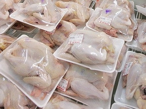 Vietnam exportará pechugas de pollo por primera vez al extranjero ảnh 1 Vietnam exportará pechugas de pollo por primera vez al extranjero ảnh 1