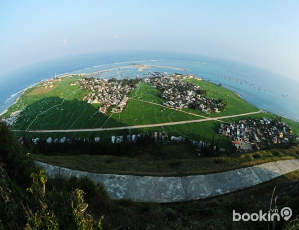 Fundarán reserva marina en provincia centrovietnamita ảnh 1 Fundarán reserva marina en provincia centrovietnamita ảnh 1