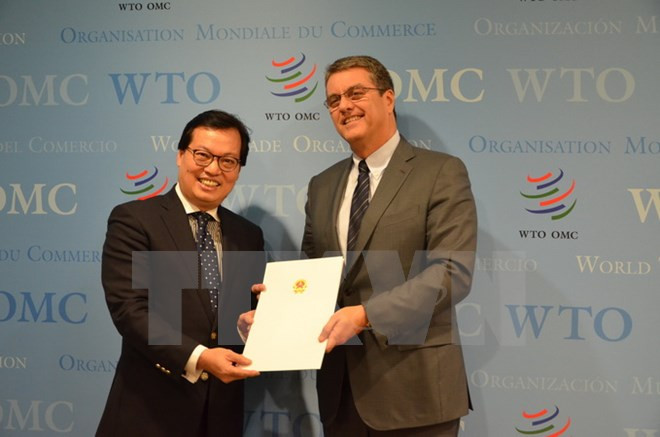 Elogia OMC logros socioeconómicos de Vietnam ảnh 1 Elogia OMC logros socioeconómicos de Vietnam ảnh 1