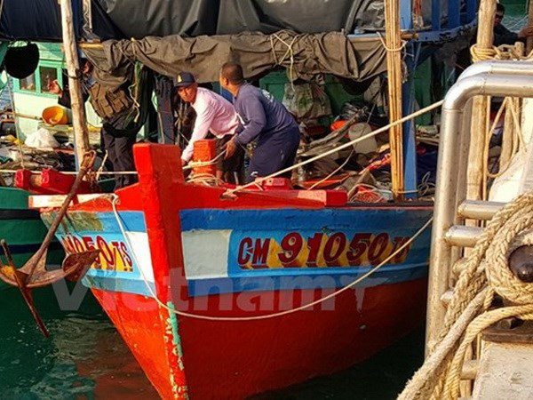 Fuerzas navales de Tailandia detienen barcos vietnamitas por pesca ilegal ảnh 1 Fuerzas navales de Tailandia detienen barcos vietnamitas por pesca ilegal ảnh 1