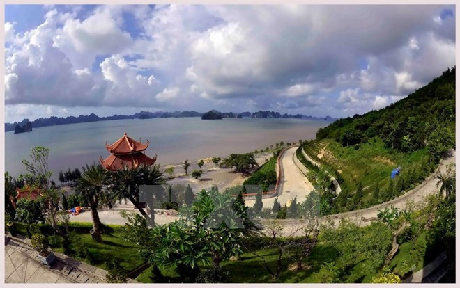 Bai Tu Long, la bahía intocada encantadora en el norte de Vietnam ảnh 1 Bai Tu Long, la bahía intocada encantadora en el norte de Vietnam ảnh 1