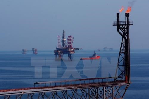 Aporta Vietsovpetro más de 452 millones de dólares al presupuesto estatal ảnh 1 Aporta Vietsovpetro más de 452 millones de dólares al presupuesto estatal ảnh 1