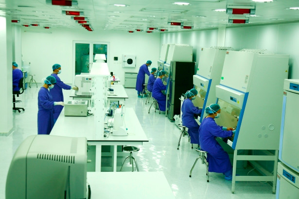 Divulgan resultados de investigación sobre genoma de los vietnamitas ảnh 1 Divulgan resultados de investigación sobre genoma de los vietnamitas ảnh 1